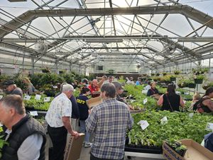 People at a plant sale